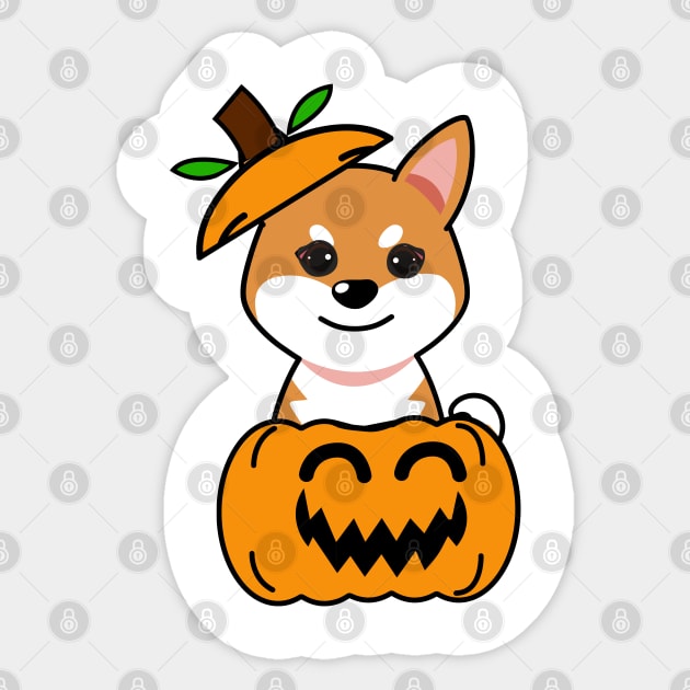 Funny orange dog is in a pumpkin Sticker by Pet Station